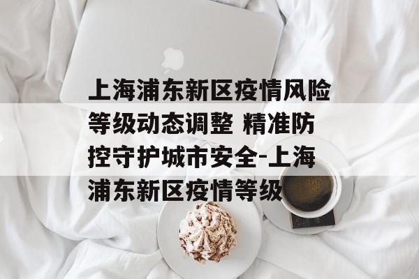 上海浦东新区疫情风险等级动态调整 精准防控守护城市安全-上海浦东新区疫情等级